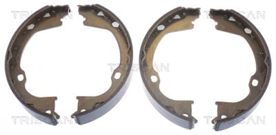 TRISCAN 8100 80019 EAN: 5710476207166.