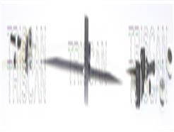 TRISCAN 8140 24705