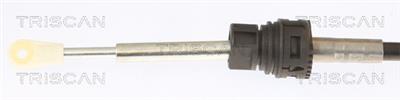 TRISCAN 8140 29718
