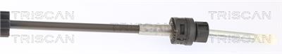 TRISCAN 8140 29724