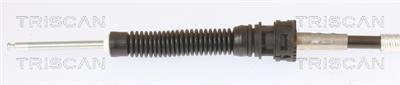 TRISCAN 8140 29731