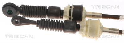 TRISCAN 8140 69703