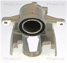 TRISCAN 8175 10110