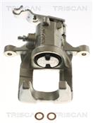TRISCAN 8175 29207