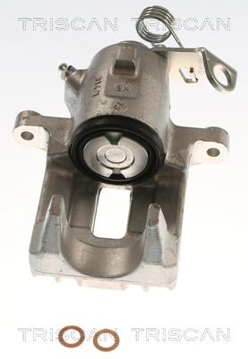 TRISCAN 8175 29218 EAN: 5710476391063.