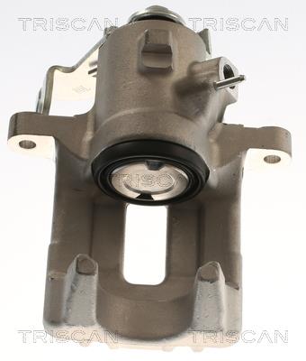 TRISCAN 8175 29225 EAN: 5710476391131.