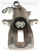 TRISCAN 8175 29293