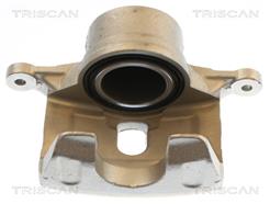 TRISCAN 8175 43132