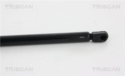 TRISCAN 8710 29294 EAN: 5710476029775.