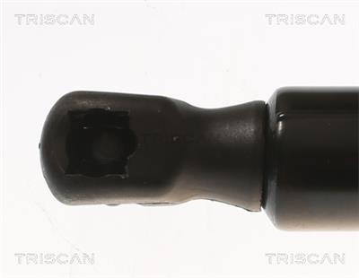 TRISCAN 8710 81204