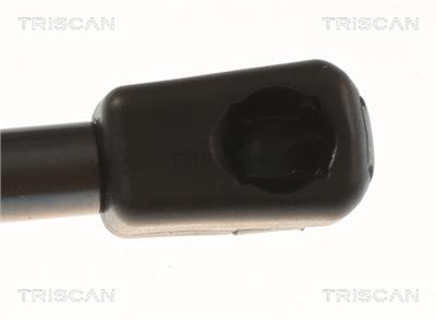 TRISCAN 8710 81204