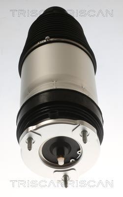 TRISCAN 8720 81101