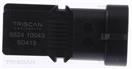 TRISCAN 8824 10043