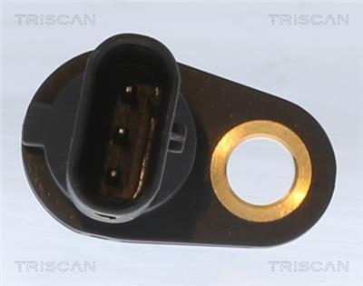 TRISCAN 8855 29159