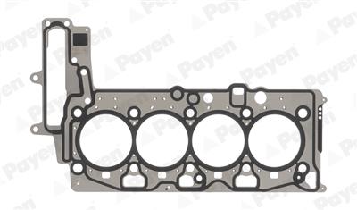 PAYEN AH8130 EAN: 4060426454777.