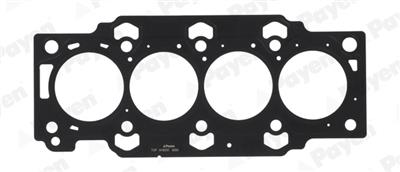 PAYEN AH8200 EAN: 4060426454852.