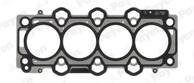 PAYEN AH8210 EAN: 4060426457037.