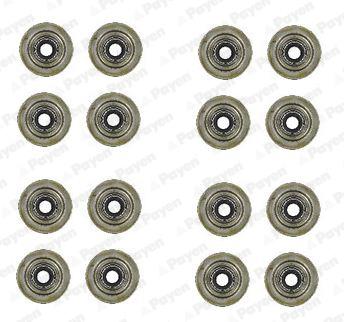 PAYEN HR752 EAN: 613313321368.