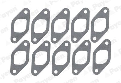 PAYEN JD025 EAN: 613313219788.