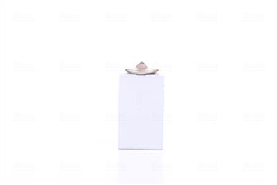 NISSENS 999248 Číslo výrobce: 351239411. EAN: 5707286468207.