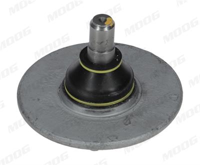 MOOG RE-BJ-7906 EAN: 4044197542772.