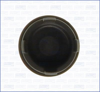 AJUSA 00794900 EAN: 8427769649264.