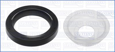 AJUSA 15088200 EAN: 8427769810459.