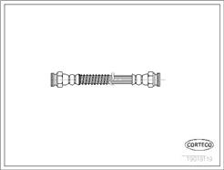 CORTECO 19019119