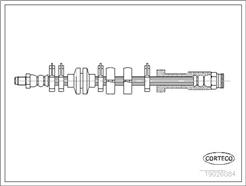 CORTECO 19026084