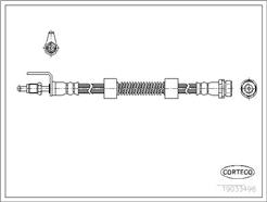 CORTECO 19033498