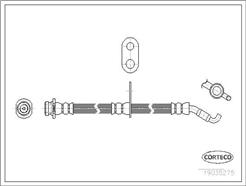 CORTECO 19035275