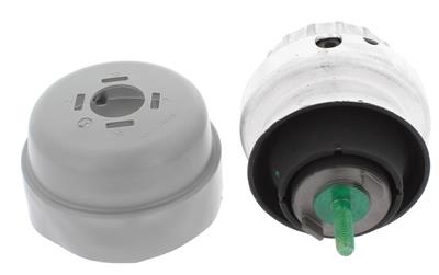 CORTECO 80004289 EAN: 3358960555250.