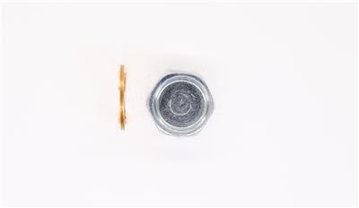 CORTECO 220138S Číslo výrobce: 84920138. EAN: 3358960503718.