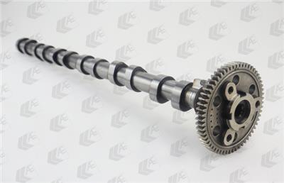 AE CAM1016 EAN: 4060426403416.