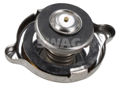 SWAG 10 99 0010 EAN: 4044688065681.