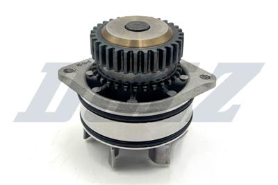 DOLZ N153 EAN: 8430632141536.