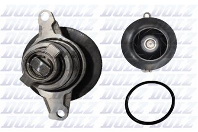 DOLZ S295