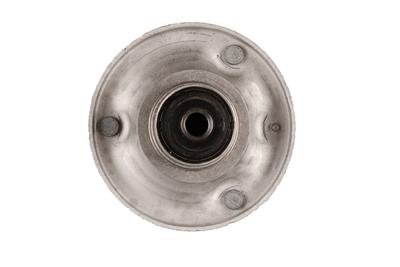 BILSTEIN 12-224319 EAN: 4025258706388.