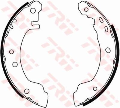 TRW GS8529 EAN: 3322936303367.