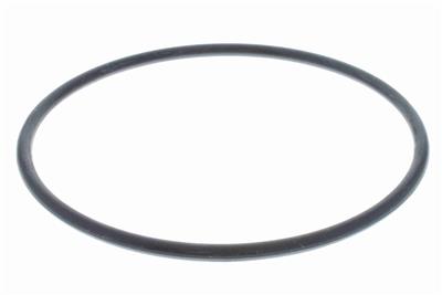 VAICO V10-1610 EAN: 4046001370229.