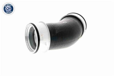 VAICO V10-2900 EAN: 4046001604744.