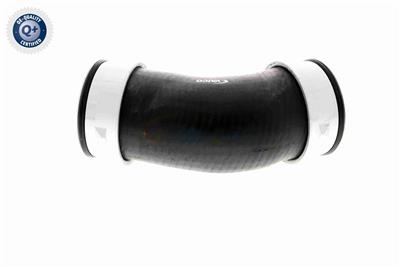 VAICO V10-2900 EAN: 4046001604744.