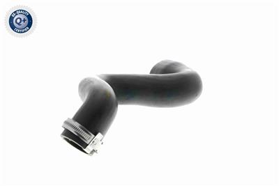 VAICO V10-2917 EAN: 4046001604881.