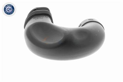 VAICO V10-3565 EAN: 4046001666025.