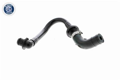 VAICO V10-3612 EAN: 4046001664991.