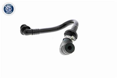 VAICO V10-3612 EAN: 4046001664991.