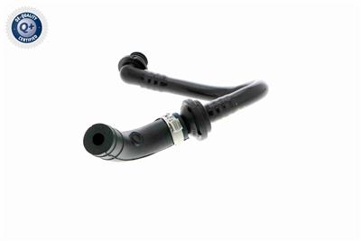 VAICO V10-3612 EAN: 4046001664991.