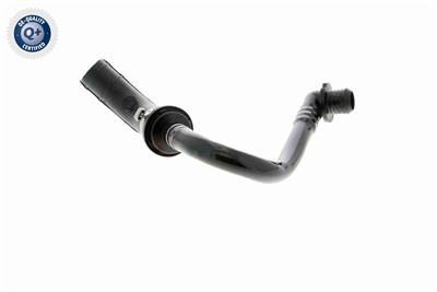 VAICO V10-3612 EAN: 4046001664991.