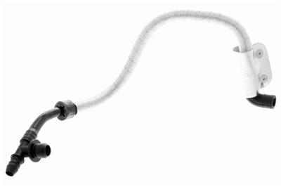 VAICO V10-3616 EAN: 4046001665523.