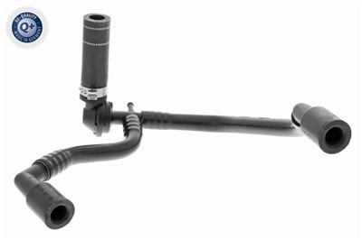 VAICO V10-3631 EAN: 4046001665158.